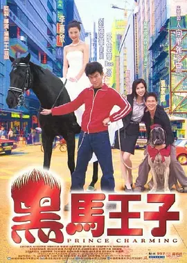 黑马王子[电影解说]