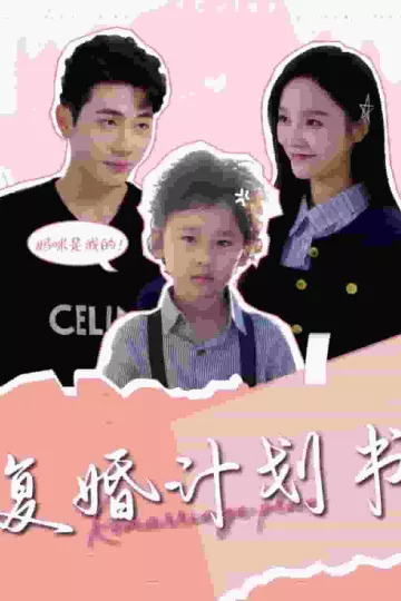 复婚计划书