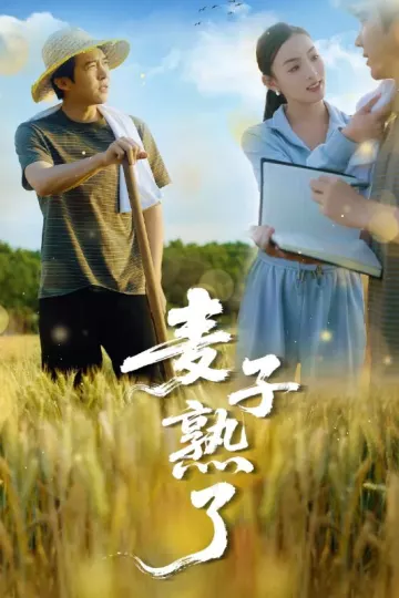 麦子熟了