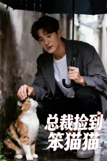 总裁捡到笨猫猫