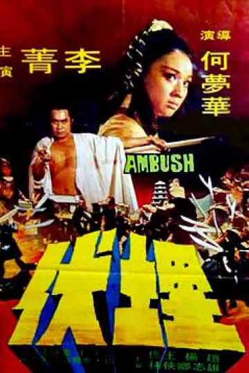 埋伏1973[电影解说]