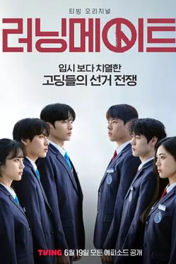 竞选伙伴