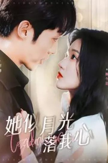 她似月光落我心
