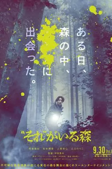 “那个”所在的森林