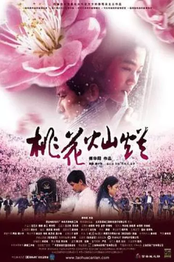 桃花灿烂[电影解说]
