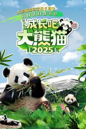 成长吧!大熊猫2025
