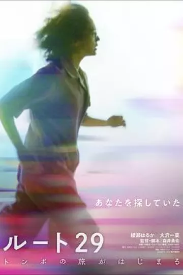 国道29号