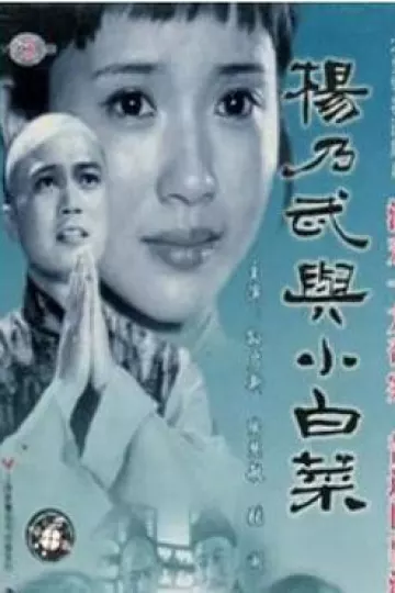 杨乃武与小白菜1990[电影解说]