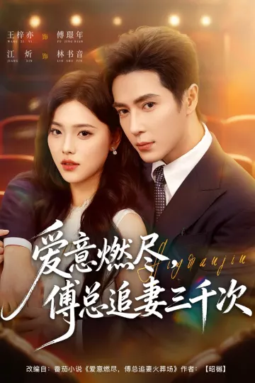 爱意燃尽,傅总追妻三千次
