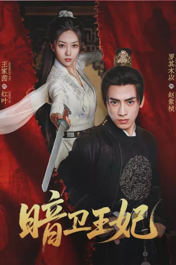 暗卫王妃