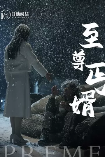 至尊丐婿