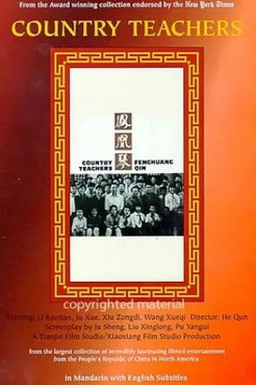 凤凰琴[电影解说]