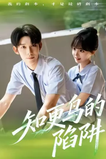 知更鸟的陷阱