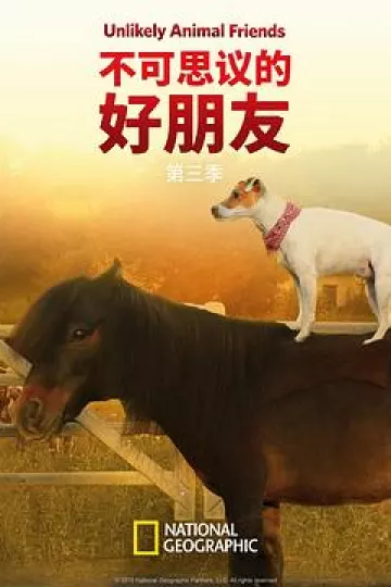 不可思议的好朋友第三季