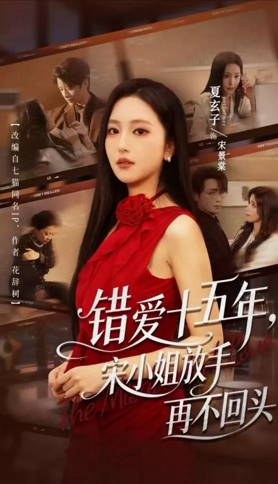 错爱十五年，宋小姐放手再不回头