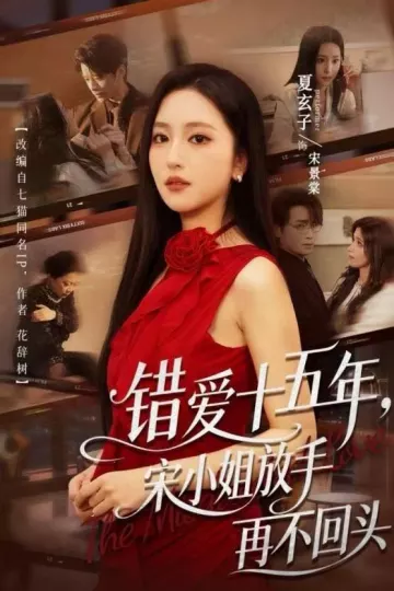 错爱十五年，宋小姐放手再不回头
