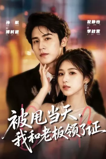 被甩当天,我和老板领了证