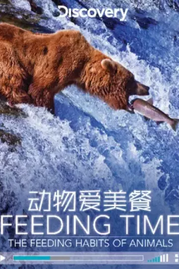 动物爱美餐