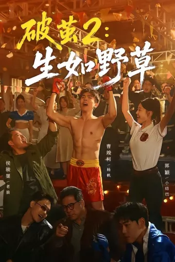 破茧2:生如野草