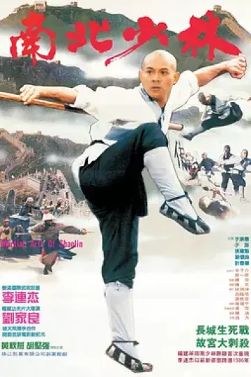 南北少林[电影解说]