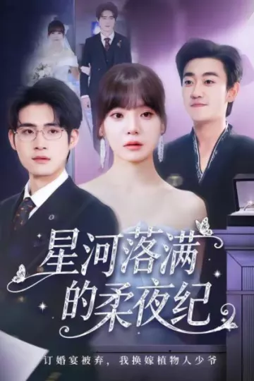 星河落满的柔夜纪