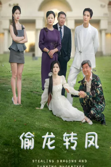 偷龙转凤短剧