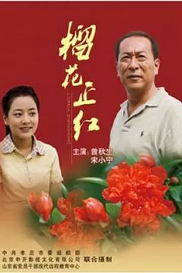 榴花正红