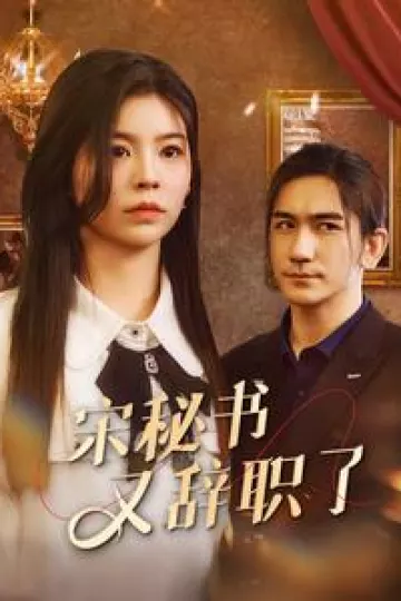 宋秘书又辞职了