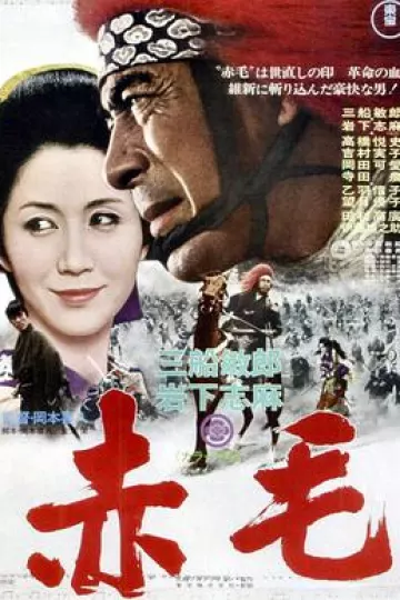 赤毛1969