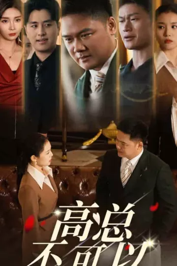 高总不可以