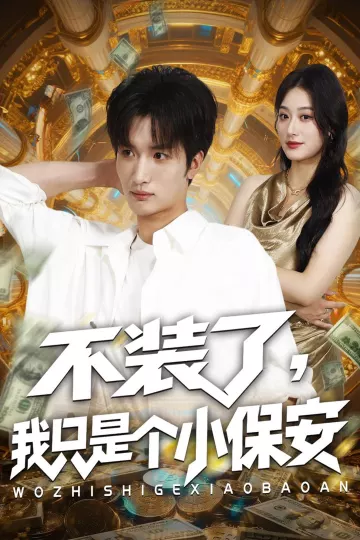 不装了我只是个小保安