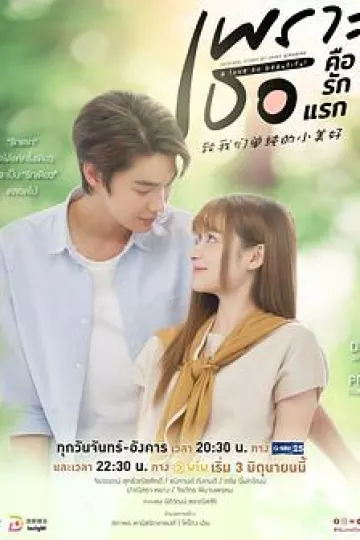 致我们单纯的小美好(泰版)泰语