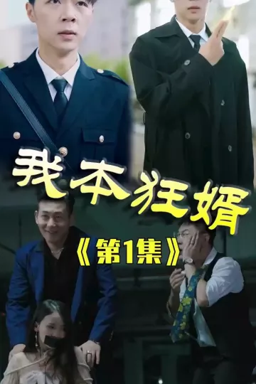 我本狂婿合集版
