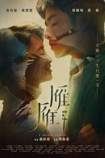 雁雁