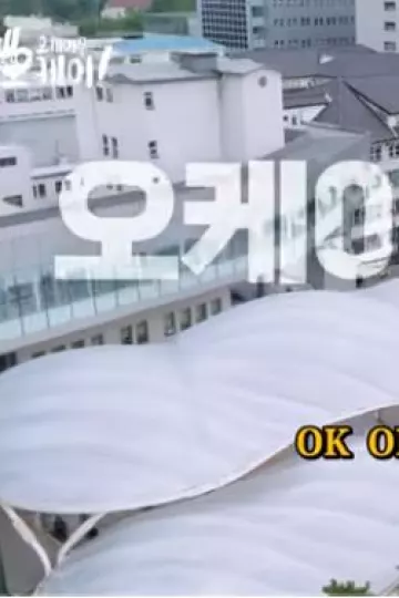 ok？ok！