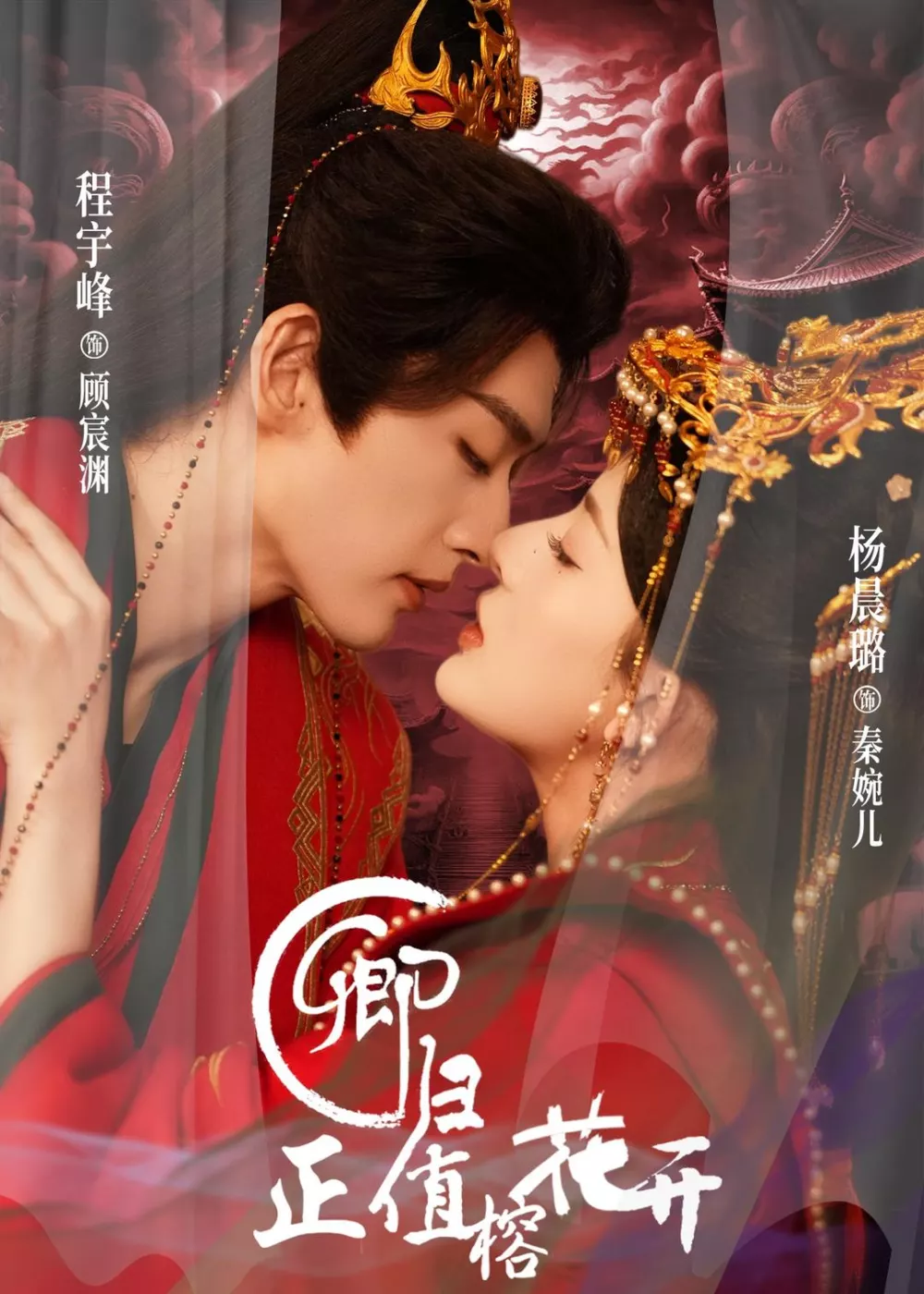 卿归正值榕花开