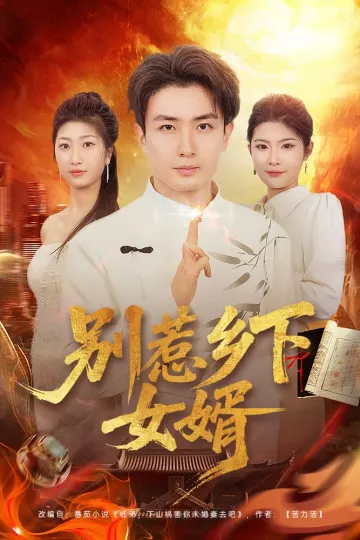 别惹乡下女婿