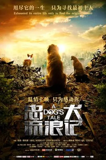忠犬流浪记[电影解说]