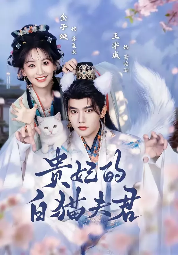 贵妃的白猫夫君