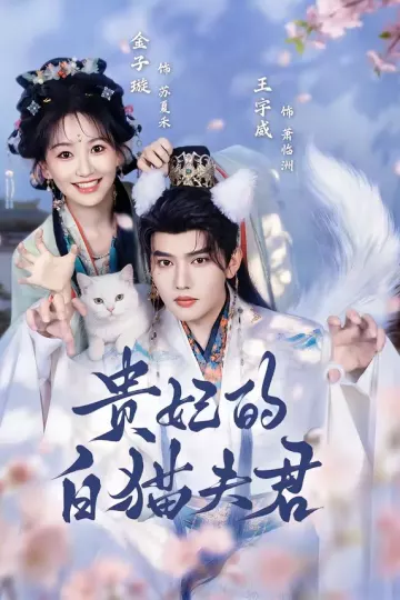 贵妃的白猫夫君