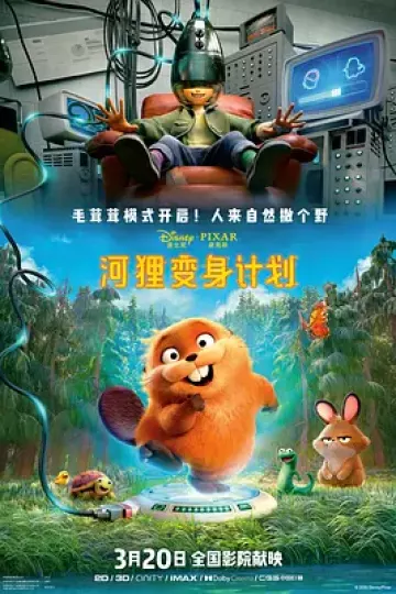 河狸变身计划[电影解说]