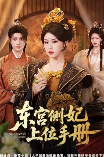 东宫侧妃上位手册