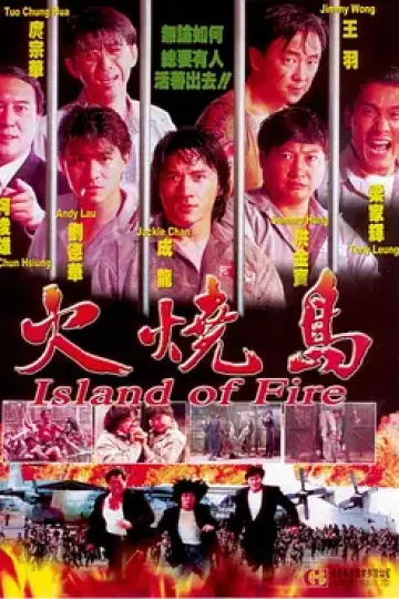 火烧岛1991