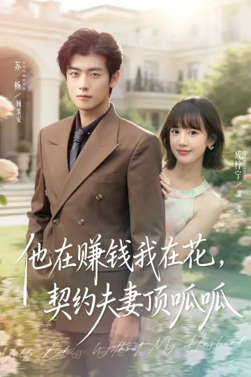 他在赚钱我在花,契约夫妻顶呱呱