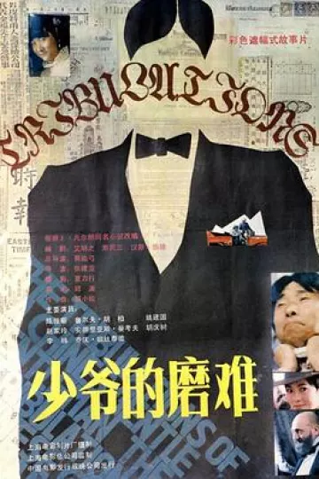 少爷的磨难[电影解说]