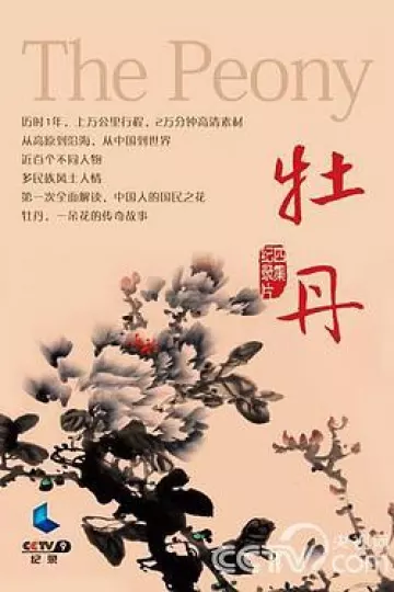 牡丹