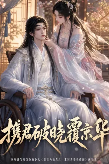 携君破晓覆京华