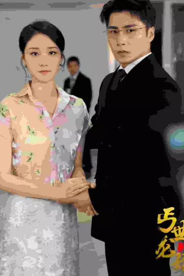 丐世龙婿