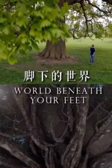 脚下的世界