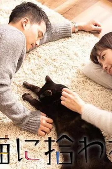 被流浪猫捡到的男人